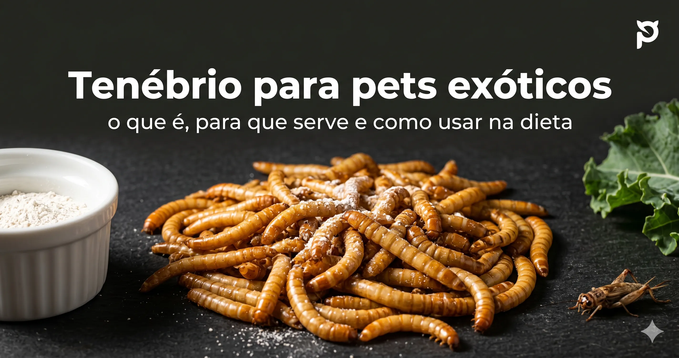 Tenébrio para pets exóticos: o que é, para que serve e como usar na dieta