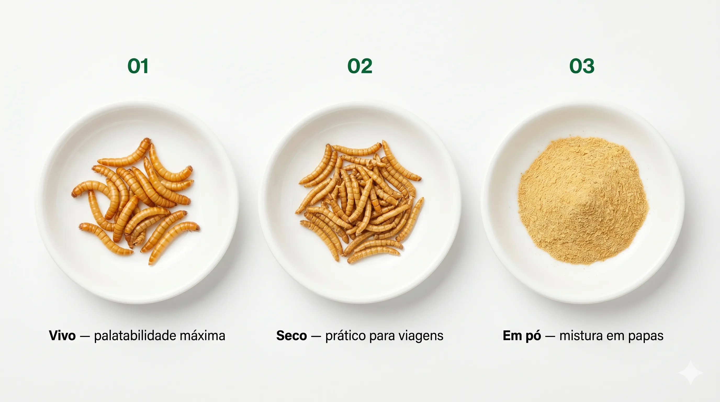 Formatos de tenébrio: Vivo (palatabilidade máxima), Seco (prático para viagens) e Em pó (mistura em papas)