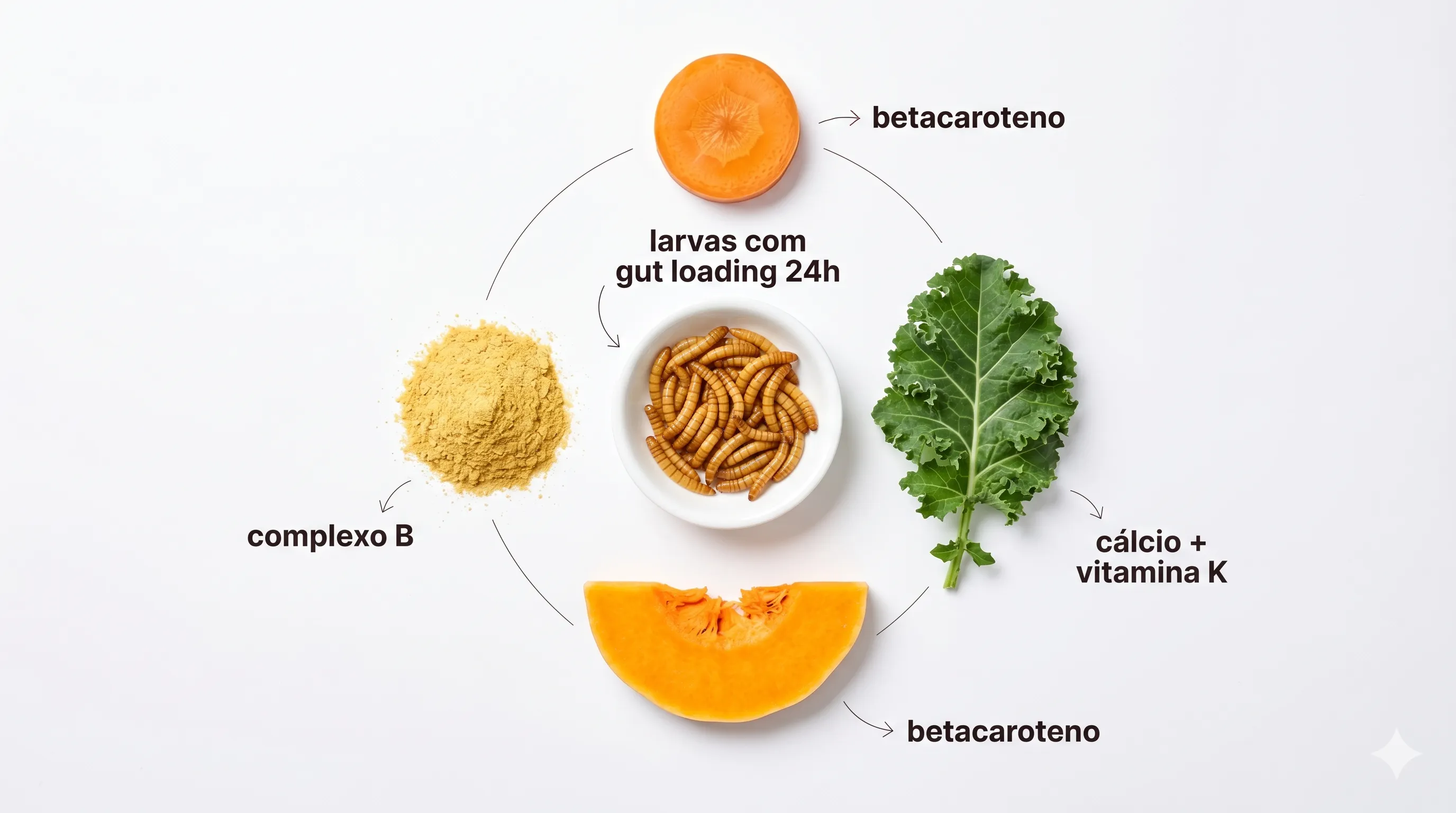 Nutrientes transferidos por gut loading: cenoura e abóbora (betacaroteno), couve (cálcio + vitamina K), levedo de cerveja (complexo B)
