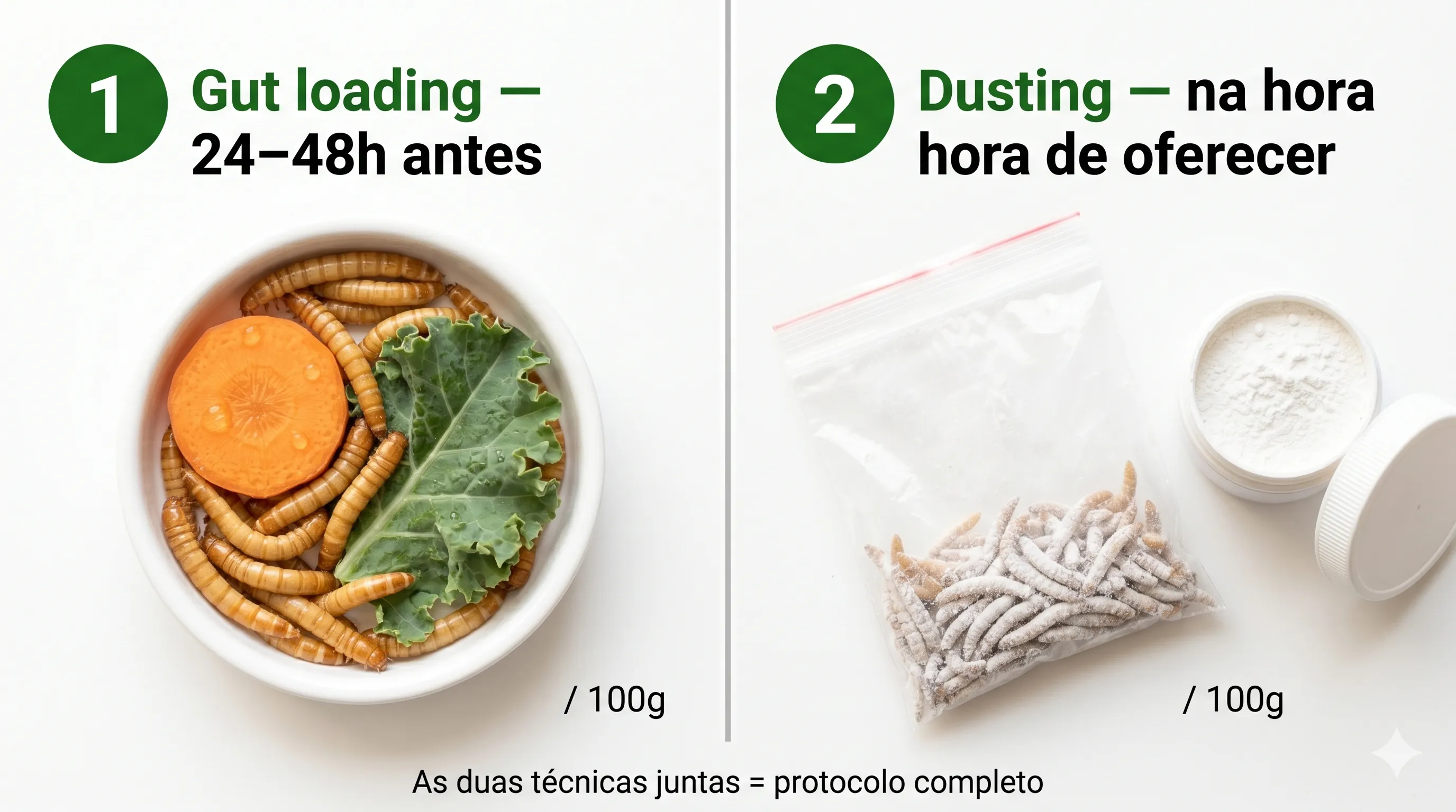 Gut loading vs Dusting: as duas técnicas complementares