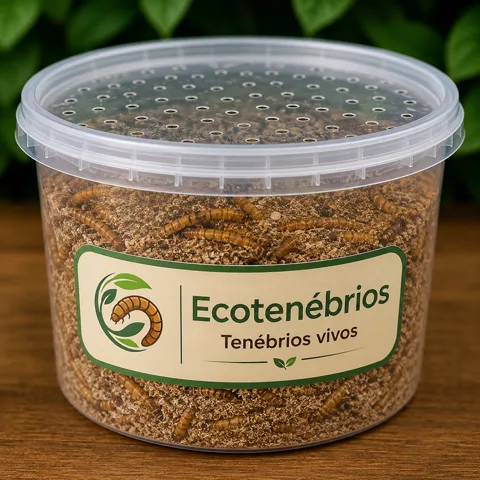 Kit Premium Ecotenébrios