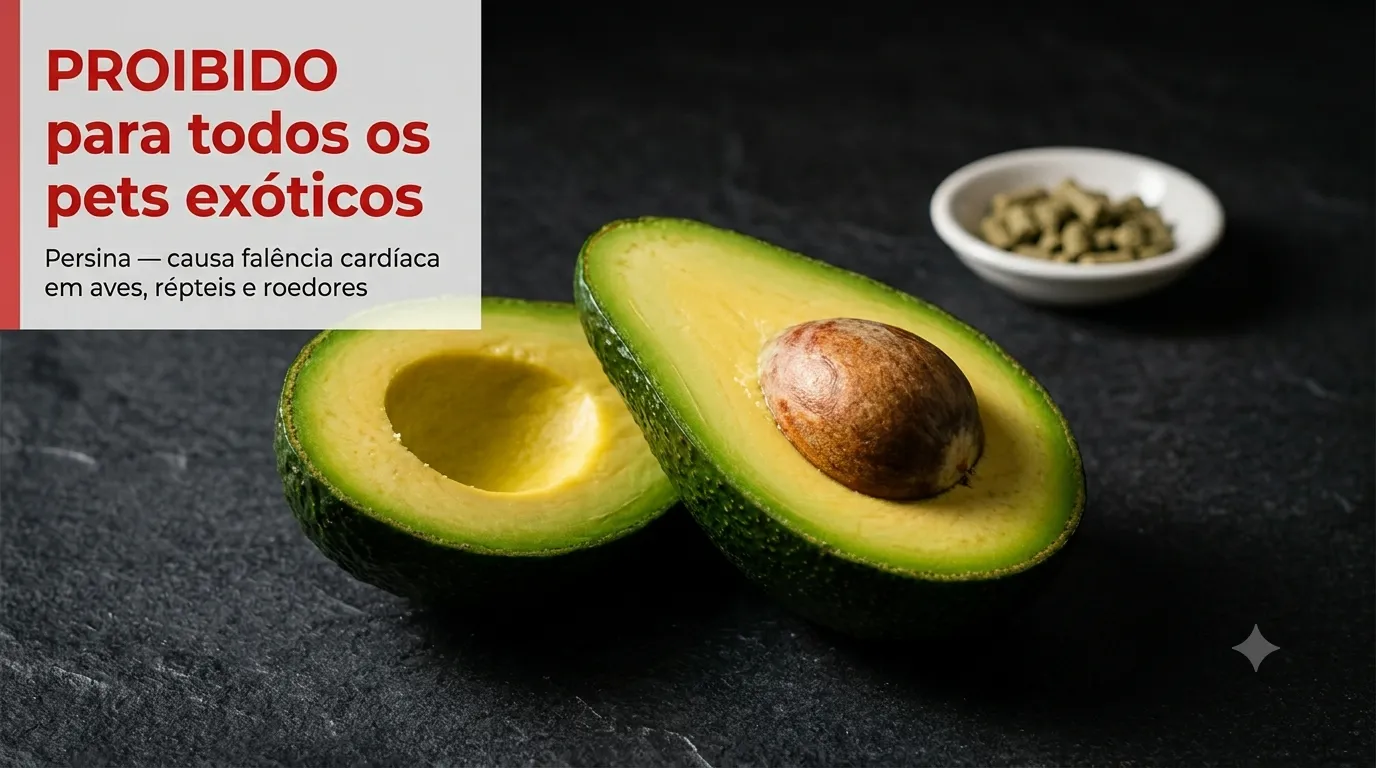 Abacate: Proibido para todos os pets exóticos. Contém Persina, que causa falência cardíaca em aves, répteis e roedores.