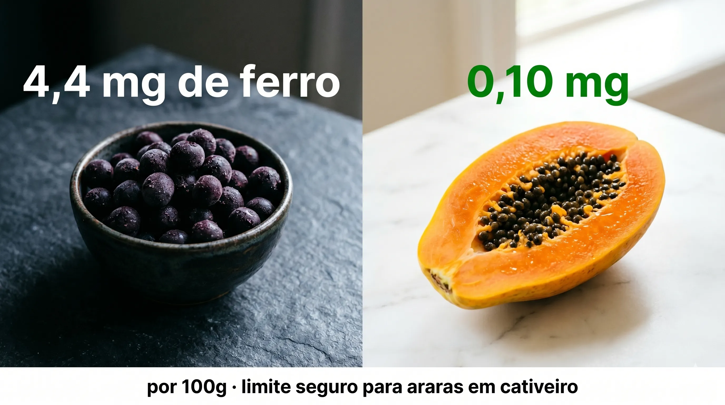 Comparação do teor de ferro por 100g: açaí (4,4 mg) vs mamão (0,10 mg) - perigo de hemossiderose em araras