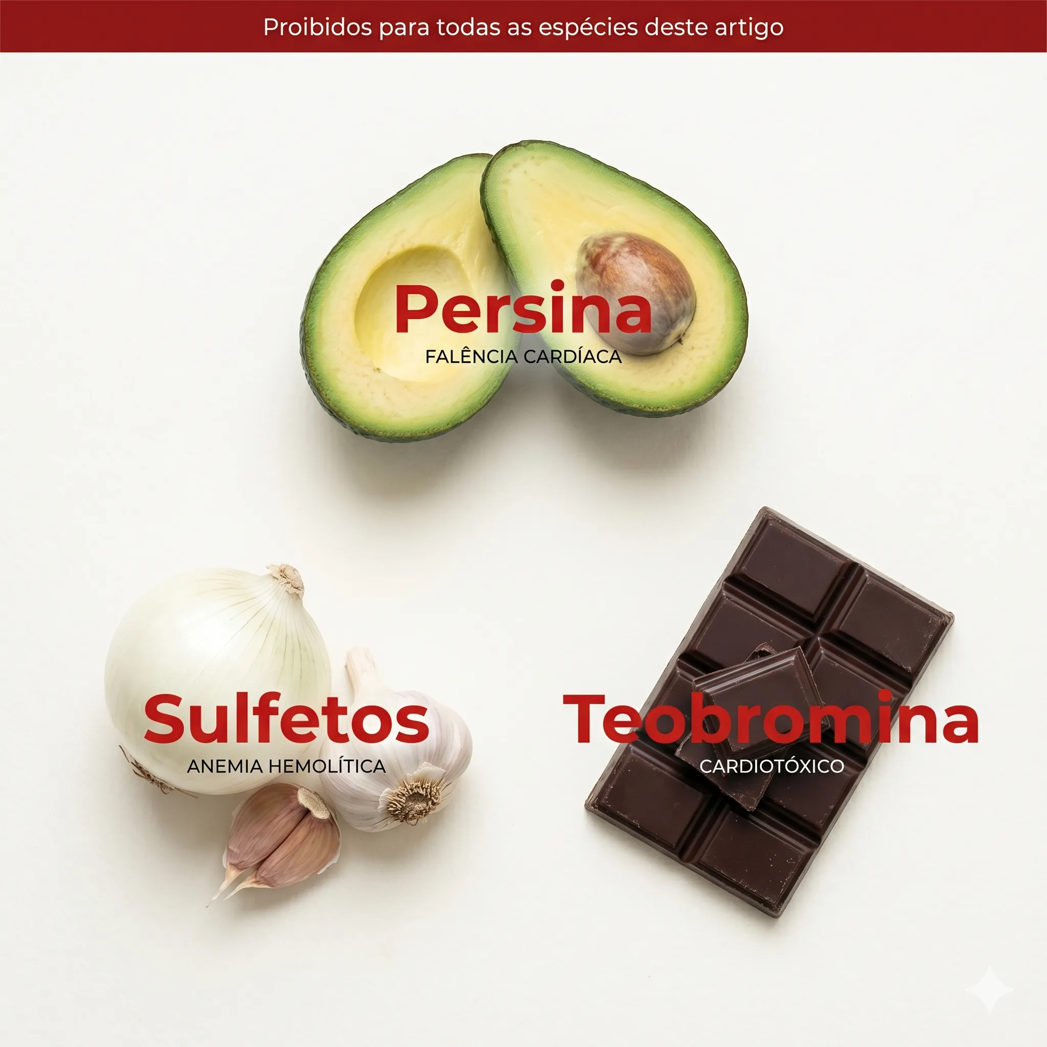 Toxinas Universais Proibidas: Persina (Abacate), Sulfetos (Cebola/Alho) e Teobromina (Chocolate)